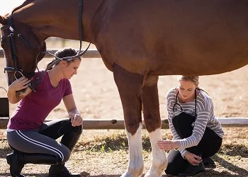 We’re in this together, and we are here to help