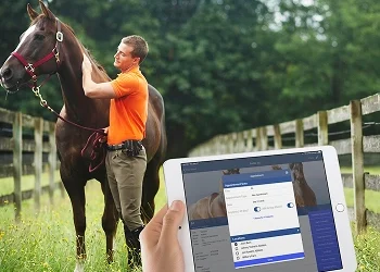 Thorovet LLC Announces Resignation of CEO Lloyd C. Schwing